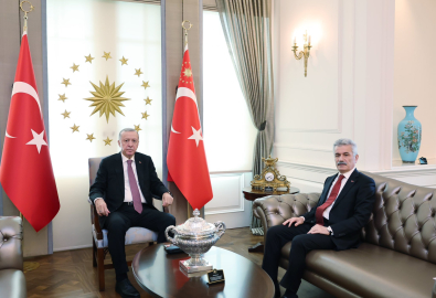 Cumhurbaşkanı Erdoğan, Danıştay Başkanı Yiğit'i kabul etti