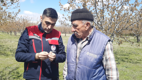 'Bu sene kimse bölgeden kiraz beklemesin'