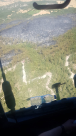 Bolu'da orman yangını kontrol altında; 2 gözaltı