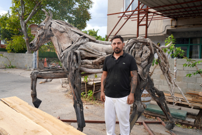 Doğanın atıklarını sanata dönüştürüyor