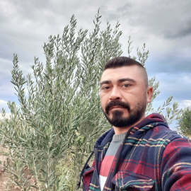 Tarlaya yuvarlanan otomobilin sürücüsü öldü