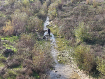 5 gün önce kayboldu; havadan ve karadan aranıyordu ölü bulundu (2)