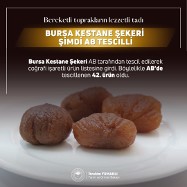 Bursa Kestane Şekeri ile İpsala Pirinci'ne AB'den coğrafi işaret tescili