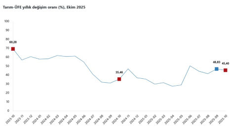 TÜİK: Tarım ürünleri üretici fiyatları ekimde arttı