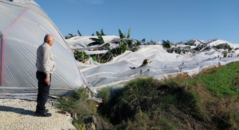 Manavgat'ta hortum, seralara zarar verdi