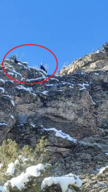 Feke’de dağda mahsur kalan 18 keçi  kurtarılmayı bekliyor