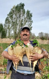 Yeğeninin eski eşi tarafından tabancayla öldürüldü