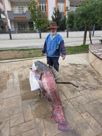 Olta ile nehirden 30 kiloluk balık tuttu