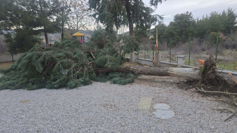 Buldan'da kuvvetli fırtına, baca kapağını uçurdu, ağacı devirdi