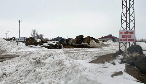 Adilcevaz'da kuduz vakası tespit edilen köy, karantinaya alındı