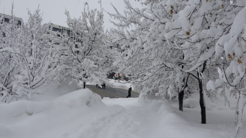 Bitlis'te 111 köy yolu kardan kapandı