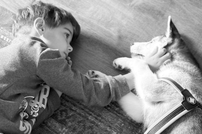 Zayu ile Başlayan Yolculuk: Bir Husky’nin Aileye Kattığı Dinginlik