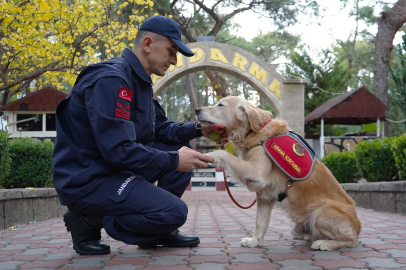 JAK köpeği 'Ocak', 8 yılda 48 can kurtardı