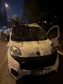 Adana'da devrilen ağacın dalları, seyir halindeki aracın ön camına saplandı