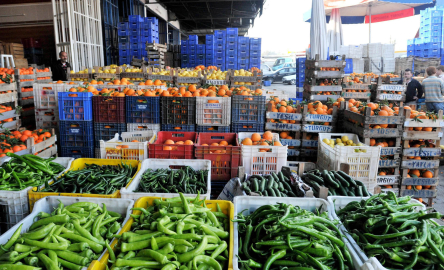 Yağmur ve hortum, sebze-meyveyi vurdu / Ek fotoğraflar
