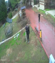 Adana’da çocuklar parktaki kuş yuvasını parçaladı: o anlar kamerada