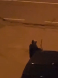 Alkollü olduğu iddia edilen kadın, araçların sileceklerini kırdı