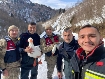 Kaybolan kazları ekipler buldu