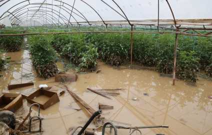 Geçen haftaki yağış ve hortumun Antalya'ya faturası 300 milyon TL