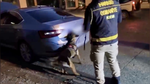 Osmaniye’de otomobil bagajında 36 kilo skunk ele geçirildi: 2 tutuklama