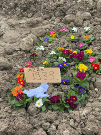 Annesini, kızını ve eşini öldürüp intihar eden hükümlü, cezaevinden 11 günlüğüne izinli çıkmış (2)