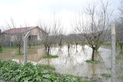 Kuşadası’nda sağanak etkili oldu; evlerin bahçeleri ve tarım arazileri su altında kaldı