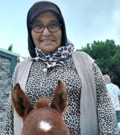 Teravihe giderken kamyonet çarptı, hayatını kaybetti