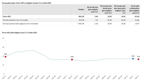 TÜİK: Tarımsal girdi fiyatları aralıkta arttı