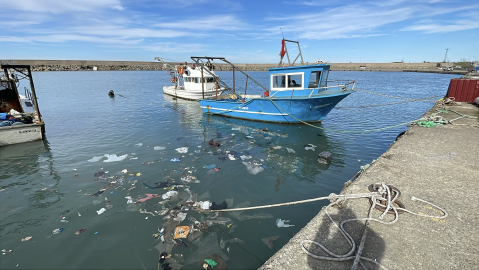 'Zonguldak'ta balık sezonu kötü geçiyor'
