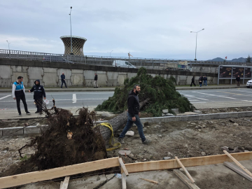 Rize’de fırtına; yol kenarındaki ağaçlar devrildi