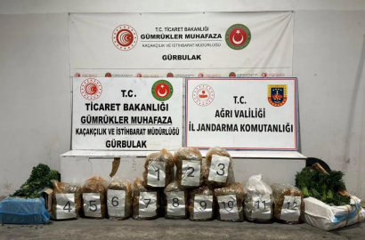 Maydanoz ve dereotu yüklü TIR'dan 51 kilo esrar çıktı