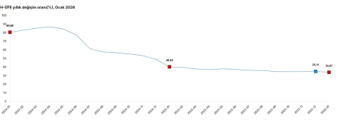 TÜİK: Hizmet üretici fiyatları ocakta arttı