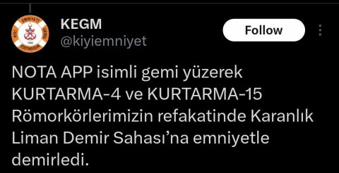 Çanakkale Boğazı’nda makine arızası yapan yük gemisi karaya oturdu (2)