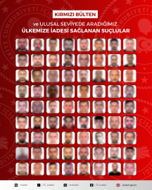Kırmızı bülten ve ulusal seviyede aranan 72 suçlu Türkiye'ye getirildi