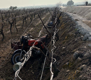 Manisa'da sepetli motosiklet üzüm bağına devrildi: 1 ölü