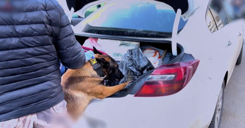 73 ilde uyuşturucu operasyonu; 475 tutuklama