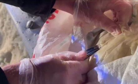 25 ilde uyuşturucu operasyonları: 99 tutuklama