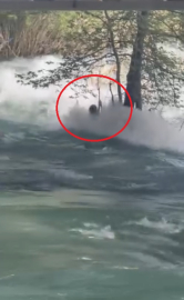 Mersin'de Berdan Çayı'na atlayan genç, suda kayboldu (2)