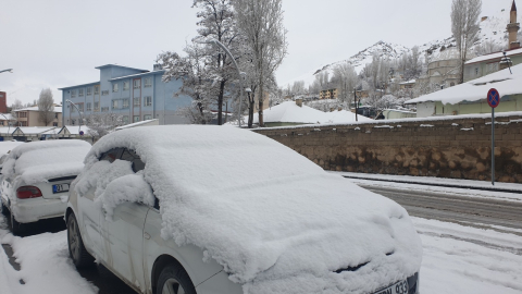 Van Başkale’de kar yağışı