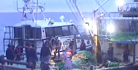 İçişleri Bakanlığı: İstanbul açıklarında 200 kilo skunk ele geçirildi, 6 şüpheli gözaltına alındı