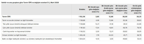 TÜİK: Tarım üretici fiyatları martta arttı