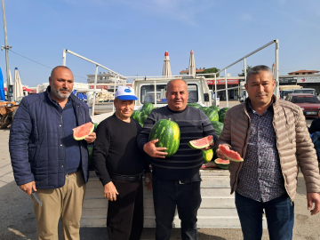 Antalya'da sezonun ilk erkenci karpuzu kilosu 40 liraya alıcı buldu