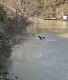 Munzur Nehri’nde kadın cesedi bulundu
