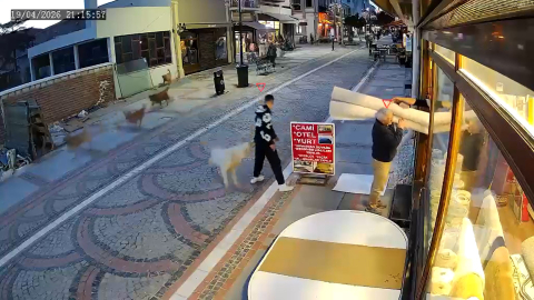 Sokak köpeğinin saldırısında yaralandı; o anlar kamerada