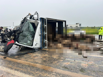 Siirt’te koyun yüklü kamyonet ile otomobil çarpıştı: 2 ölü, 3 yaralı