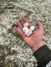 Gaziantep’te dolu yağışı etkili oldu