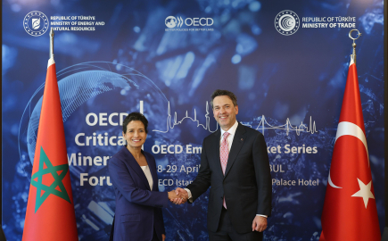 Bakan Bayraktar,  Fas Enerji Dönüşümü ve Sürdürülebilir Kalkınma Bakanı Benali ile görüştü