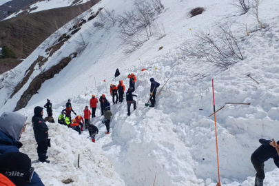 4 ay önce çığ altında kalan çoban için yeniden başlatılan arama çalışmaları 3'üncü gününde / Ek fotoğraflar