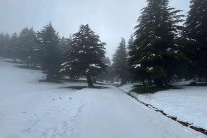 Huzurlu Yaylası’na kar yağdı
