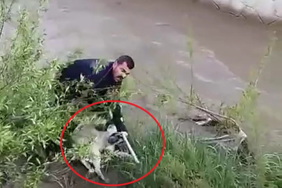 Çar Çayı'na düşen köpeği, elini ısırmasına rağmen kurtardı